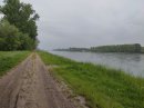 Bord du Rhin